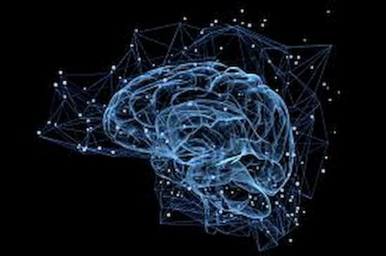 Las 5 inteligencias del ser humano